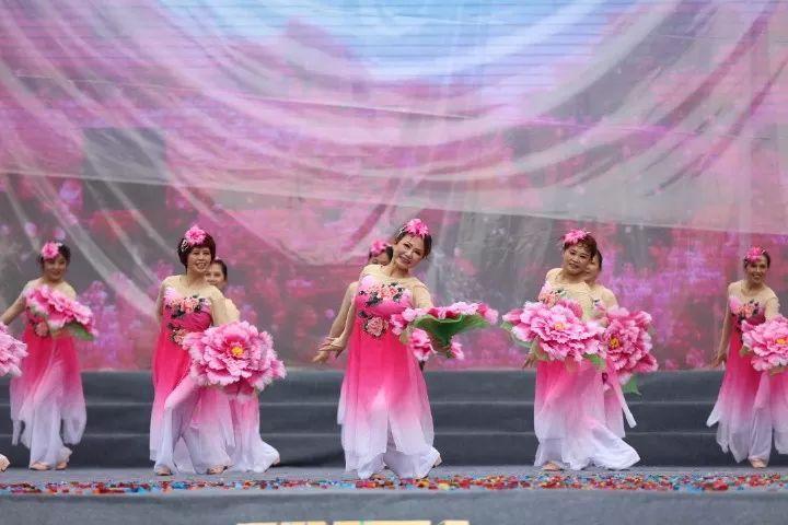 探索知识的如果飞行的飞机撞到鸟会怎么样?蜗牛问答平台